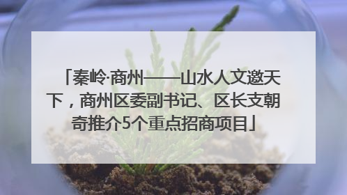 秦岭·商州——山水人文邀天下，商州区委副书记、区长支朝奇推介5个重点招商项目